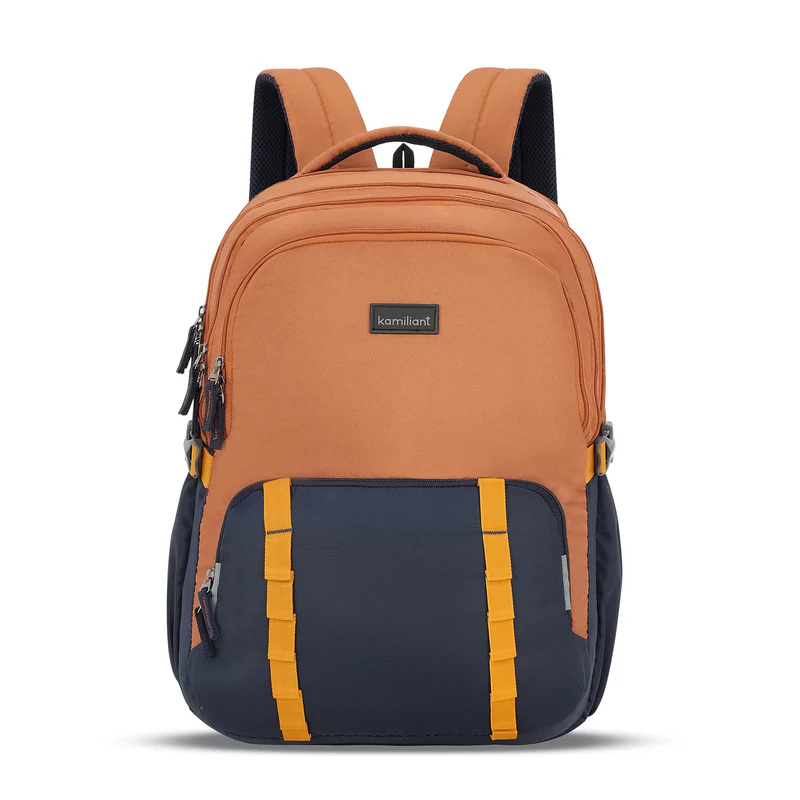 Brown & Navy Colorblock Bag